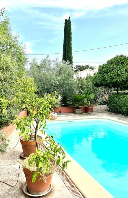 Espace Les Orangers - Piscine - 10Mn Plages Six-Fours-les-Plages Exterior photo